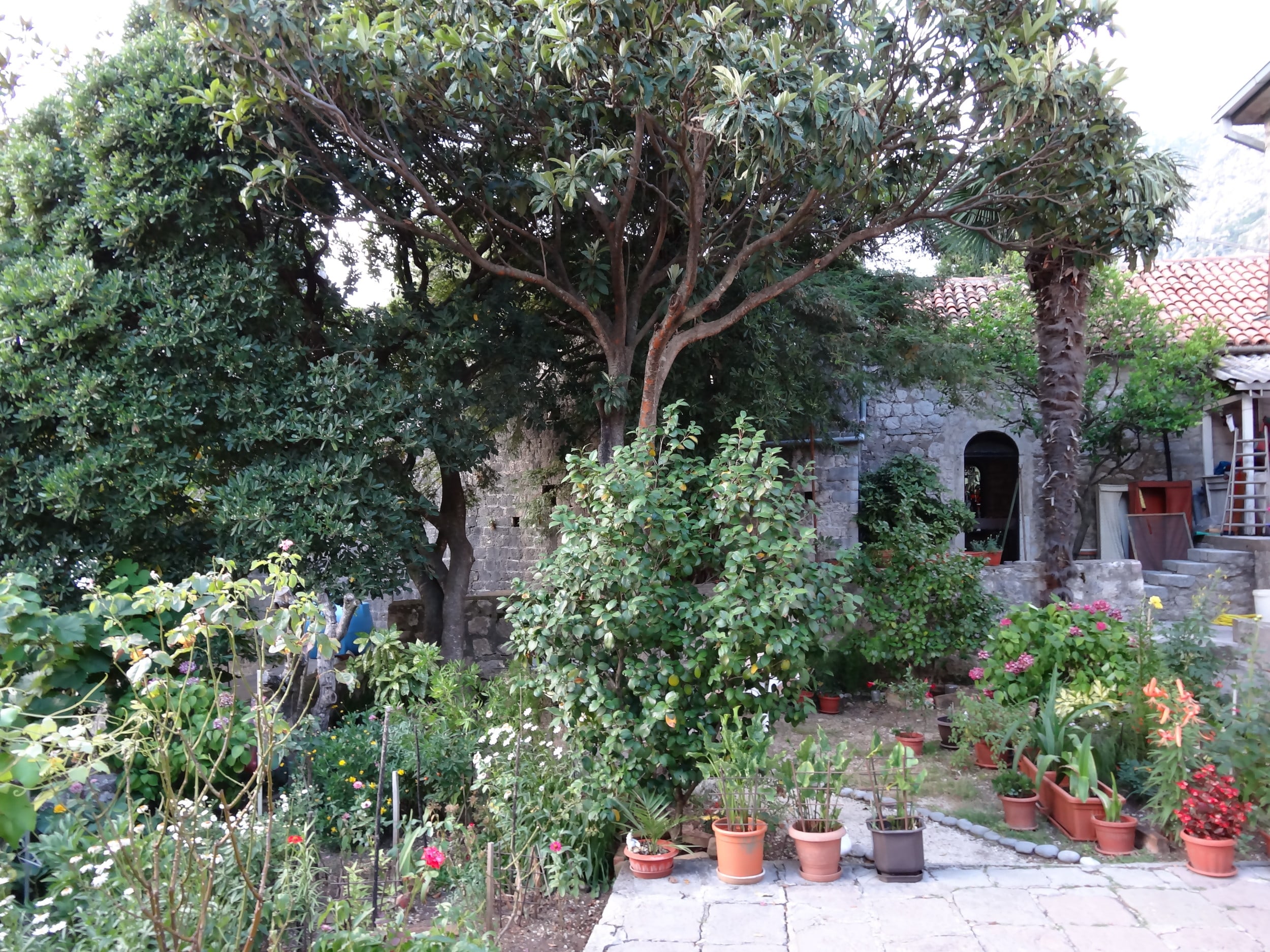 Semi-detached waterfront stone house in Dobrota