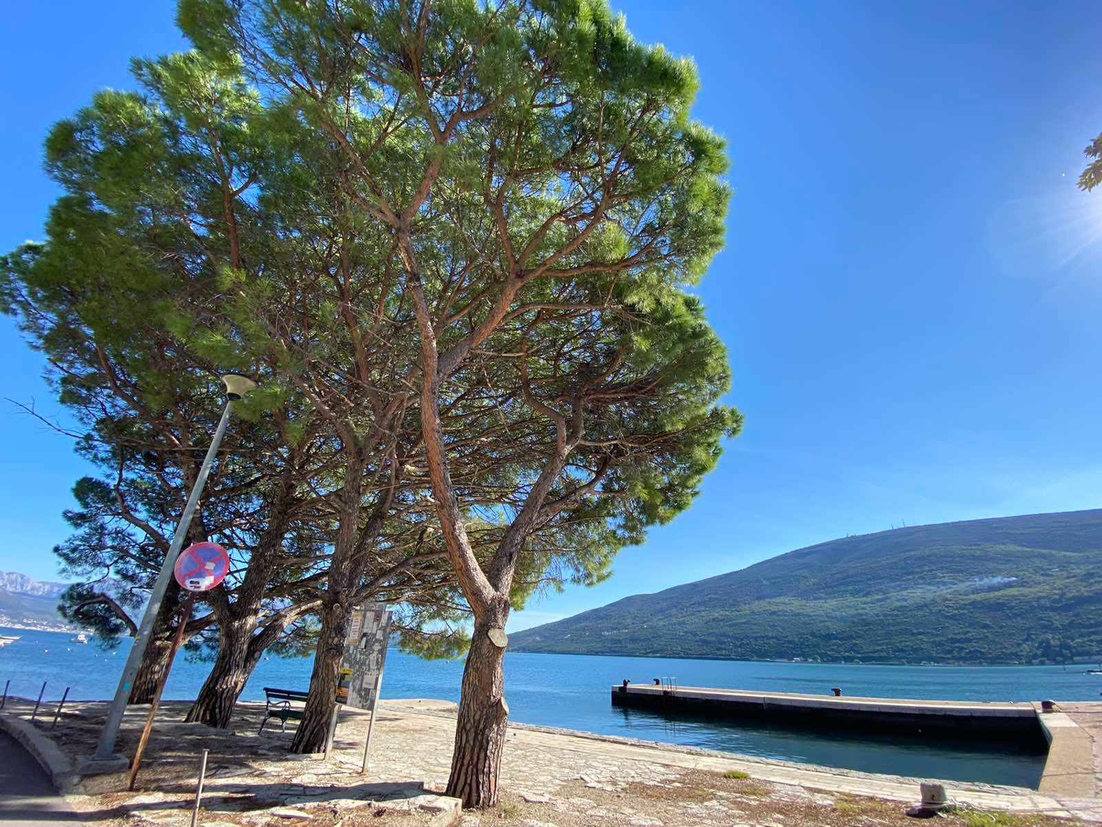 Lovely waterfront apart hotel in Djenovici