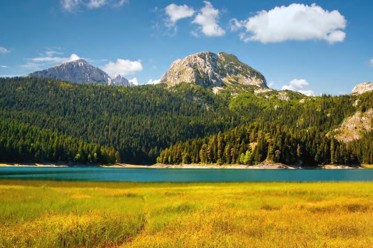 Investment project in Durmitor, Zabljak